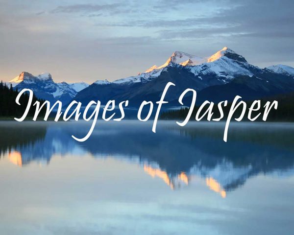 Images of Jasper book