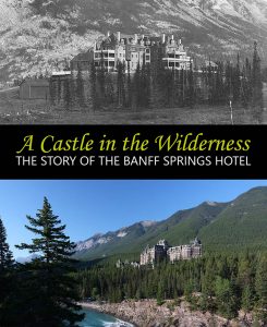 A castle in the wilderness book cover