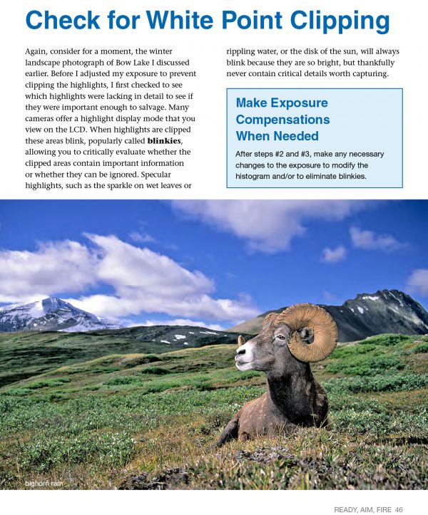 Canadian Rockies Wildlife Photography eBook