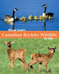Canadian Rockies Wildlife for Kids