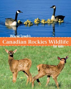 Canadian Rockies Wildlife for Kids