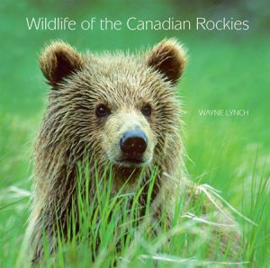 wildlife of the canadian rockies