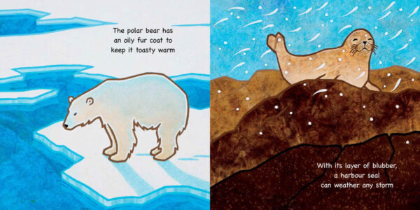 Canadian Animals for Kids book